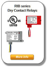 RIB Series - Dry Contact